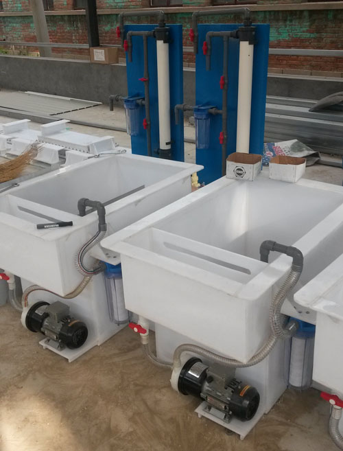 �Ӿ���քӲ�